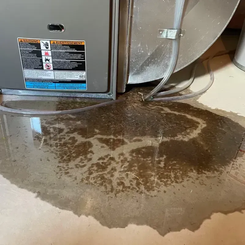 Appliance Leak Cleanup in Chevy Chase, DC